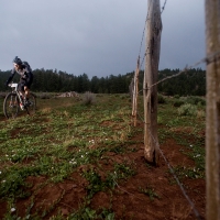 Mike Sowers crosses the Bumpy Field trail