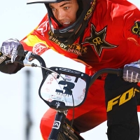 David Herman in action