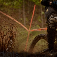 Roost was a common theme during the weekend.